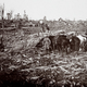 Image for article titled These Unseen Photos From World War I Are Unbelievable